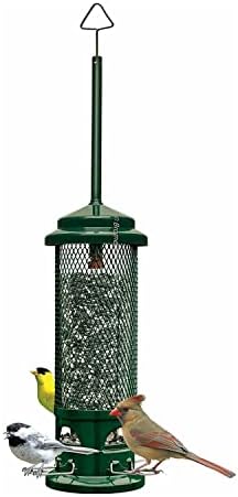 Squirrel Buster Legacy Squirrel-proof Bird Feeder w/4 Metal Perches, 2.6-pound Seed Capacity post thumbnail image