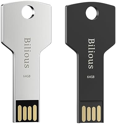 Bilious USB Keychain Flash Drive 2PCS, Metal Style Thumb Drive Portable USB 2.0 Memory Stick, Waterproof Jump Pen Drive for Storage and Backup post thumbnail image