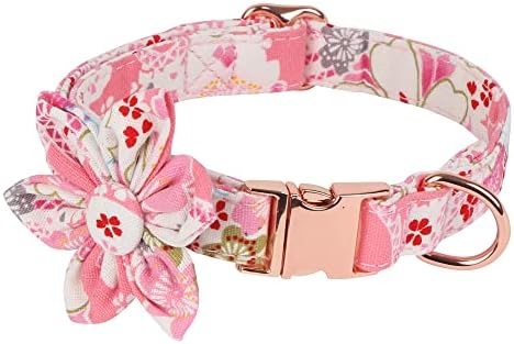 Dog Collar, Girl Puppy Collar with Cute Flower, Adjustable Safety Metal Buckle for Small Medium Large Dog(Cherry,M) post thumbnail image