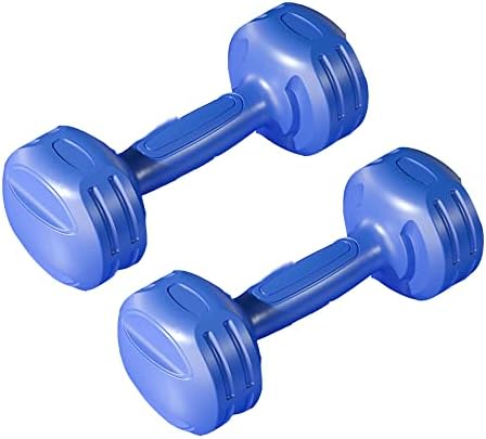 ROLTIN 2Pcs Ladies Fitness Dumbbell Weight Dumbbells Gym Home Fitness Equipment Portable Arm Training Sport Exercise (Blue) post thumbnail image