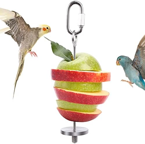 QBLEEV Bird Food Holder, Bird Feeders, Stainless Steel Parrot Fruit Vegetable Stick Holder, Foraging Toy, Bird Treat Skewer Small Size post thumbnail image