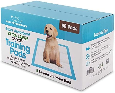 Best Pet Supplies, XL (36″ x 27.5″) Disposable Puppy Pads for Whelping Puppies and Training Dogs, 50 Pack – Ultra Absorbent, Leak Resistant, and Track Free for Indoor Pets – Baby Blue post thumbnail image