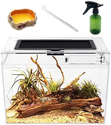 Reptile Growth Mini Reptile Terrarium,12″ x 7″x 9″ Reptile Tank with Full View Visually Appealing，for Insect，Fish，Tarantula，Hermit crab，Jumping spider，Iguana，Tortoise，Leopard Gecko，Frog，Bearded dragon post thumbnail image