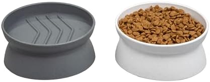 Kitty City Raised Cat Food Bowl Collection/Stress Free Pet Feeder and Waterer and Slow Feed Bowls post thumbnail image