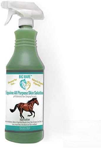 Big Mare All Purpose Horse Skin & Wound Care | 32oz Bottle | First Aid: for Girth Itch, Insect & Fly Bites, Crud, Itchy Manes & Tails & Hair Loss | Veterinarian Approved & Recommended post thumbnail image