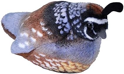 Wild Republic Audubon Birds California Quail Plush with Authentic Bird Sound, Stuffed Animal, Bird Toys for Kids and Birders post thumbnail image