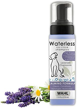 Wahl USA Pet Friendly Waterless No Rinse Shampoo for Animals – Lavender & Chamomile for Cleaning, Conditioning, Detangling, & Moisturizing Dogs & Horses – 7.1 Oz – Model 820014A post thumbnail image