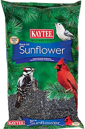 Kaytee Wild Bird Black Oil Sunflower Food, 5 Pounds post thumbnail image