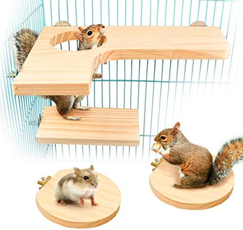 Roundler Squirrel Gerbil Chinchilla and Dwarf Hamster L-shaped Round Hole Wooden Platform, Birds Parrots Activity Playground (style-1) post thumbnail image