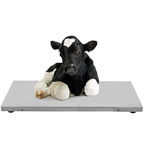 New Model 1100LB(500 KG) Large Platform 41 inch Pet Scale Small Cow or Pig Scale Animal Scale Dog Scale Cat Scale with Both Plug and Battery post thumbnail image