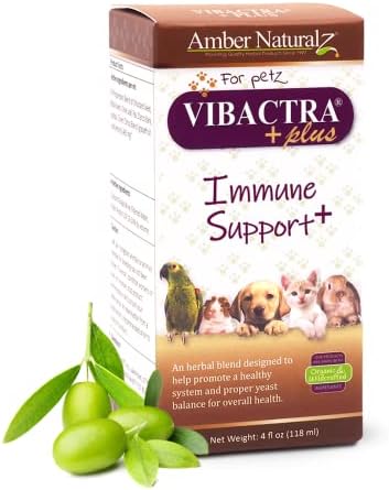 Amber NaturalZ Vibactra Plus Herbal Supplement for Dogs, Cats, Birds, Guinea Pigs, and Rabbits | Herbs for Immune Health and Yeast Balance | 4 Fluid Ounce Glass Bottle | Manufactured in The USA post thumbnail image