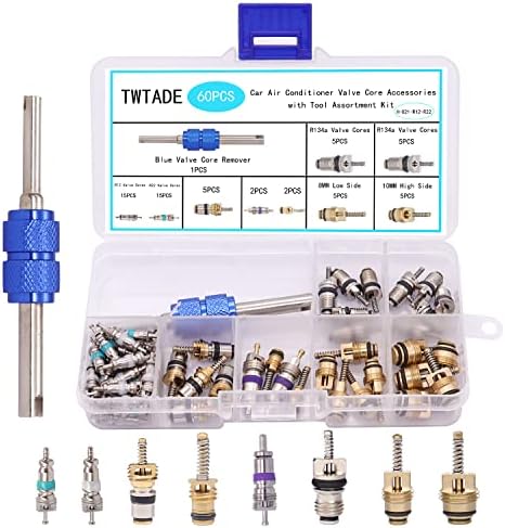 TWTADE 60PCS Air Conditioner Car Valve Core Accessories with Remover Tool Assortment Kit R12 R134a Refrigeration Tire Valve Stem Cores Repair Kit H-021-R12 post thumbnail image