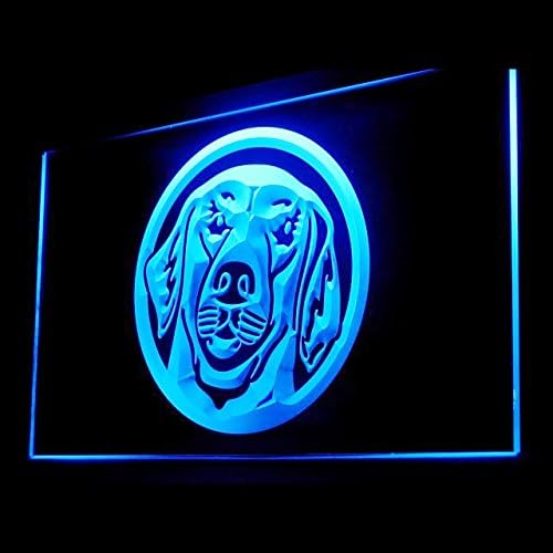 210030 Golden Retriever Dog Animals Pet Lovers Display LED Light Neon Sign post thumbnail image