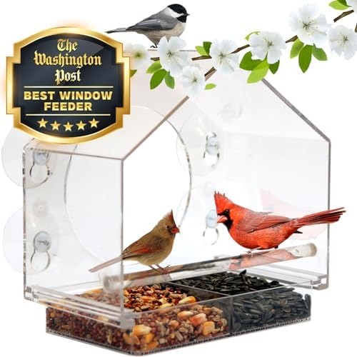 Nature Anywhere Transparent Acrylic Window Bird Feeder – Enhanced Suction Grip, Bird Watching for Cats, Easy-to-Clean, Outdoor Birdhouse – Perfect for Garden, Yard, & Elderly Viewing post thumbnail image