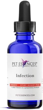 Infection for Dogs, Cats and Horses post thumbnail image