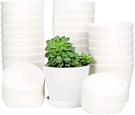 TDHDIKE 25 Pcs Plastic Planters Indoor Flower Plant Pots, Mini Flower Seedlings Nursery Pot with Pallet, Modern Decorative Gardening Containers (White, 25) post thumbnail image