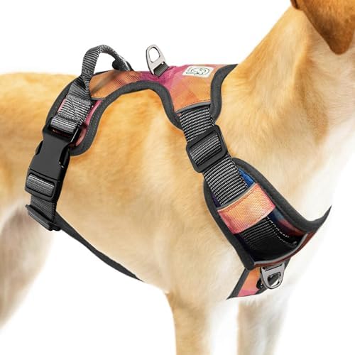 Embark Urban Dog Harness No-Pull Dog Harness for Small Dogs, Medium & Large. 2 Leash Clips, Front & Back with Control Handle, Adjustable Black Dog Vest for Any Breed, Soft & Padded for Comfort post thumbnail image