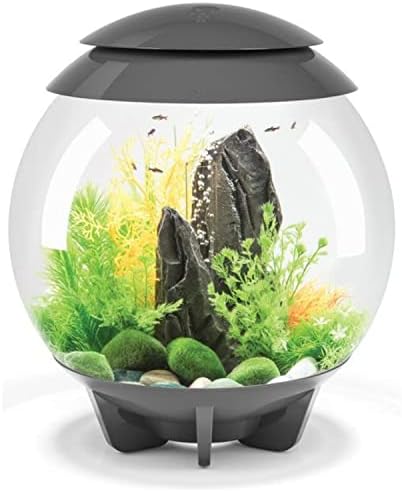 biOrb Halo 15 Acrylic 4-Gallon Aquarium with Multi-Color Remote-Controlled LED Lights, Gray post thumbnail image