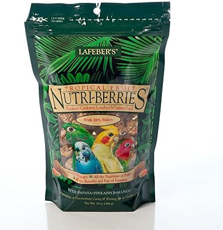 LAFEBER’S Tropical Fruit Nutri-Berries Pet Bird Food, Made with Non-GMO and Human-Grade Ingredients, for Cockatiels Conures Parakeets (Budgies) Lovebirds (Tropical Fruit 10 oz) post thumbnail image