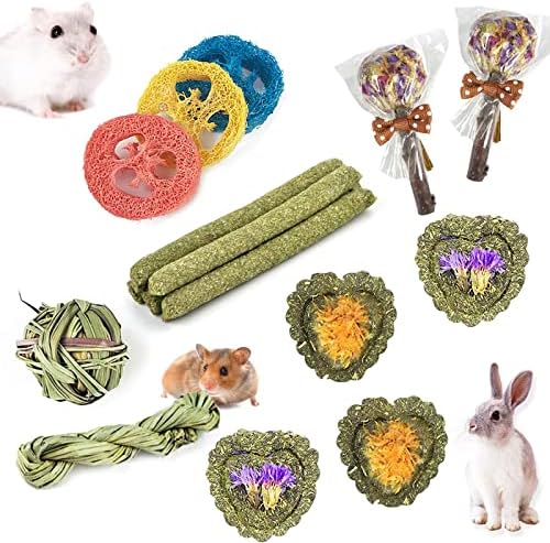 Rabbit Chew Toys for Teeth, 16PCS Natural Timothy Hay Chew Toy, Improve Dental Health for Bunny/Chinchilla/Guinea Pig/Hamsters/Holland Lop, Small Rodent Pet Molar Teeth Treats Toys post thumbnail image