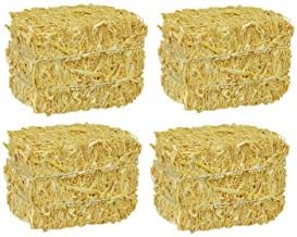 Fall Thanksgiving Harvest Mini Straw Hay Bale Sunni Sunflowers Natural Decorations Home Craft Display ~ Bundle of 4 post thumbnail image