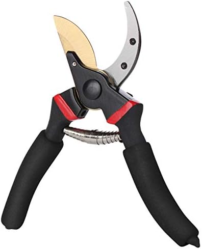 Mr. Pen- Pruning Shears, Garden Shears, 8″ Professional, Garden Scissors, Gardening Shears, Garden Clippers, Bypass Pruners, Garden Shears Pruning, Pruning Scissors, Garden Tools, Garden Supplies post thumbnail image