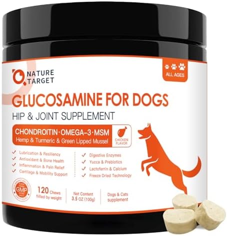 Glucosamine for Dogs, Joint Supplement for Dogs, Chondroitin, Omega-3, MSM, Hemp, Turmeric for Pain Relief, Dog Joint Supplement with Calcium for Bone Health, 120 Chicken Flavored Crunchy Chews post thumbnail image