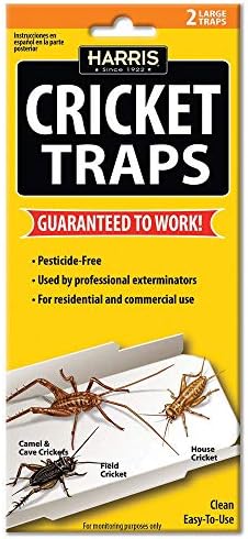 Harris Natural Cricket Glue Traps with Irresistible Lure (2-Pack) post thumbnail image