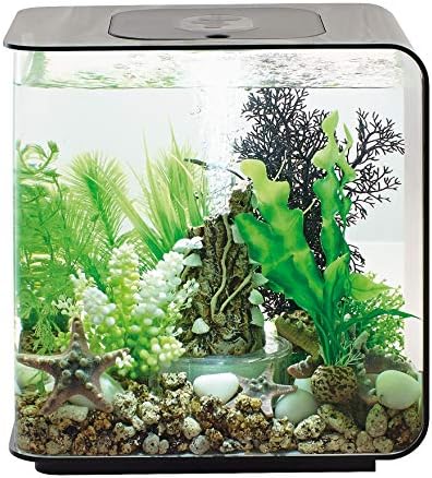 biOrb Flow 15 Acrylic 4-Gallon Aquarium with White LED Lights Modern Compact Tank for Tabletop or Desktop Display, Black post thumbnail image