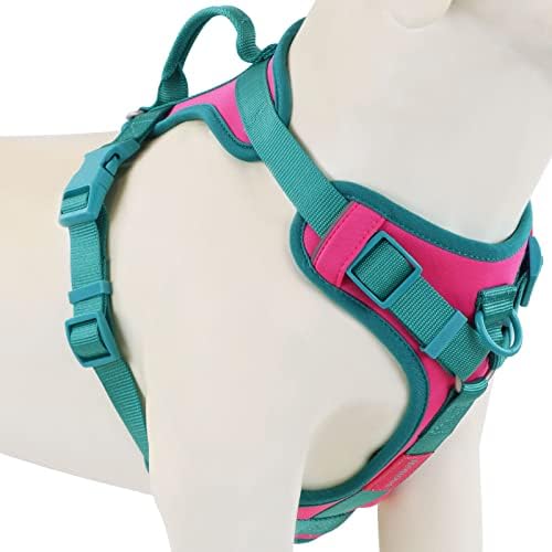 No Pull Dog Harness Adjustable Soft Padded Pet Vest with Control Handle Adorable Daily Harness for Dogs（Pink Peacock S） post thumbnail image