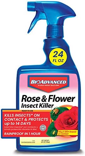 BioAdvanced Rose and Flower Insect Killer, Ready-to-Use, 24 oz post thumbnail image