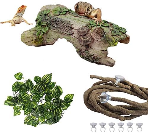 PINVNBY Reptile Hollow Tree Trunk Decoration,Resin Lizard Hideouts Log Hideaway,Crested Gecko Habitat Cave Decor,Aquarium Decaying Trunk Driftwood Ornament for Bearded Dragon Snake Betta Spider(3Pcs) post thumbnail image