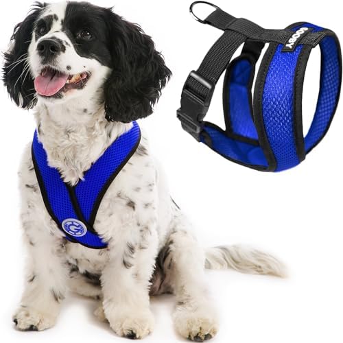 Gooby Comfort X Head In Harness – Blue, Medium – No Pull Small Dog Harness, Patented Choke-Free X Frame – Perfect on the Go Dog Harness for Medium Dogs No Pull or Small Dogs for Indoor and Outdoor Use post thumbnail image