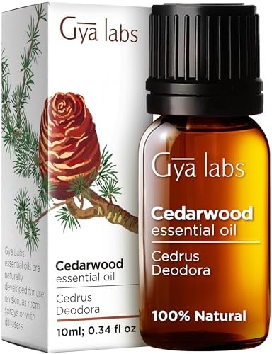 Gya Labs Cedarwood Essential Oil for Hair and Diffuser – Essential Oil Cedarwood Oil for Hair, Aromatherapy & Skin – Fresh, Woodsy, Piney Scent – 100% Natural (0.34 fl oz) post thumbnail image