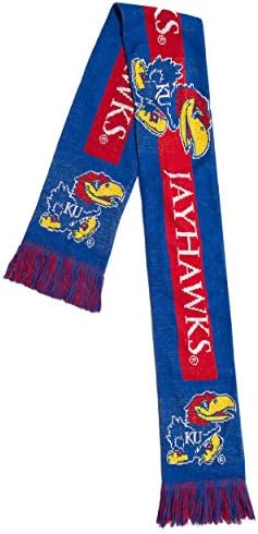 FOCO NCAA unisex Ncaa College Big Logo Scarf post thumbnail image