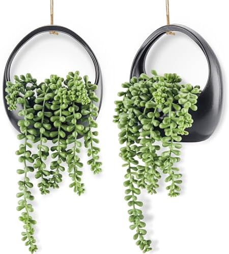 Der Rose 2 Pack Fake Hanging Plants Artificial Succulents Plants Indoor for Boho Wall Decor post thumbnail image