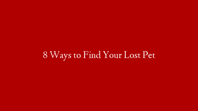 8 Ways to Find Your Lost Pet