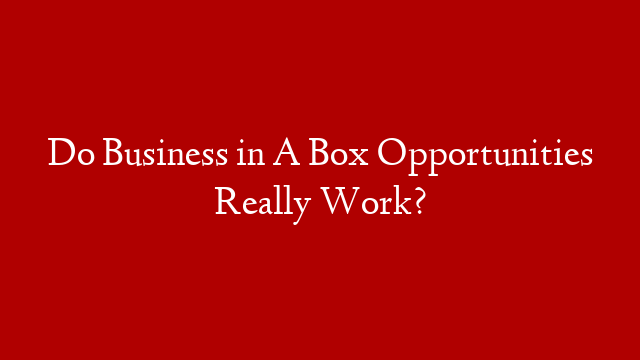 Do Business in A Box Opportunities Really Work?