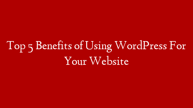 Top 5 Benefits of Using WordPress For Your Website