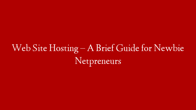 Web Site Hosting – A Brief Guide for Newbie Netpreneurs