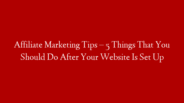 Affiliate Marketing Tips – 5 Things That You Should Do After Your Website Is Set Up