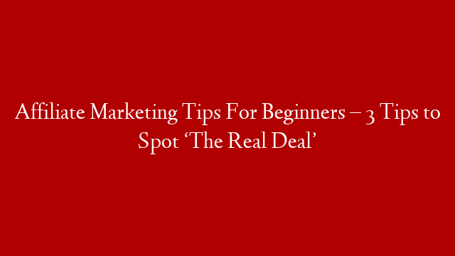 Affiliate Marketing Tips For Beginners – 3 Tips to Spot ‘The Real Deal’