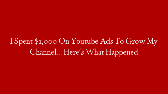 I Spent $1,000 On Youtube Ads To Grow My Channel… Here's What Happened