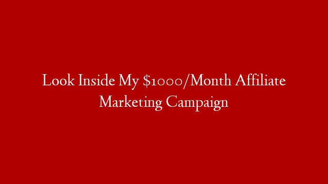 Look Inside My $1000/Month Affiliate Marketing Campaign post thumbnail image