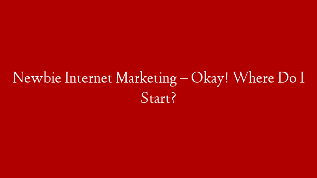 Newbie Internet Marketing – Okay! Where Do I Start?