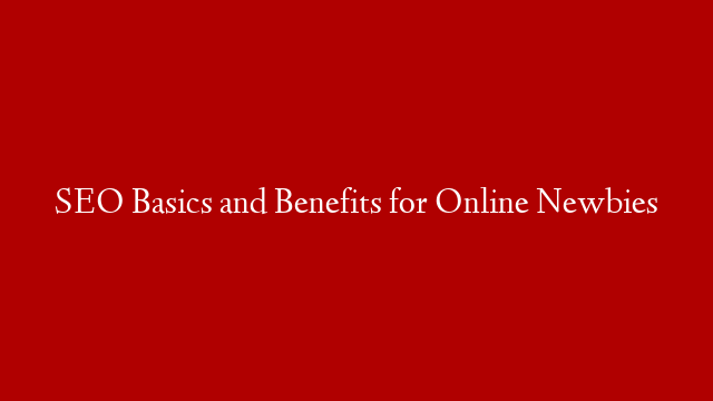 SEO Basics and Benefits for Online Newbies