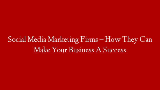 Social Media Marketing Firms – How They Can Make Your Business A Success