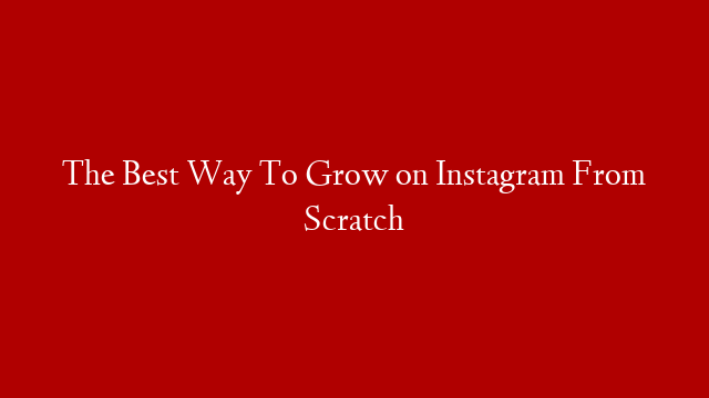 The Best Way To Grow on Instagram From Scratch