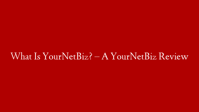 What Is YourNetBiz? – A YourNetBiz Review post thumbnail image