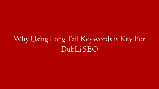 Why Using Long Tail Keywords is Key For DubLi SEO